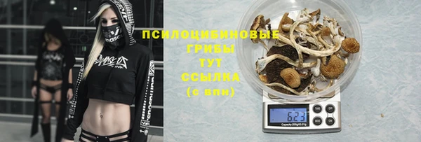 ПСИЛОЦИБИНОВЫЕ ГРИБЫ Армянск