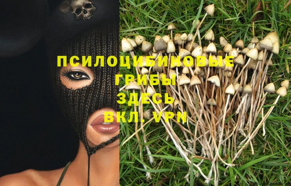 спайс Арсеньев