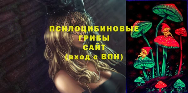 ПСИЛОЦИБИНОВЫЕ ГРИБЫ Армянск