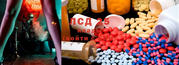 ПСИЛОЦИБИНОВЫЕ ГРИБЫ Армянск
