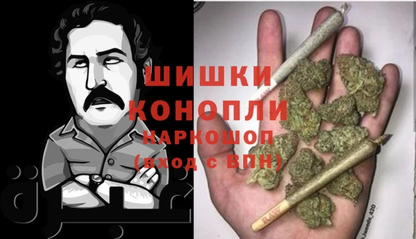ECSTASY Богородицк